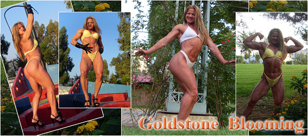 Madam Mysteria - Goldstone Blooming - Summer photogallery