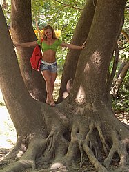 Click for large picture SL380380.JPG 112 KB