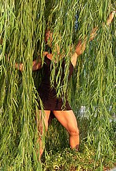 Bungle In The Jungle