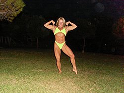 Click for large picture SL381510.JPG 106 KB